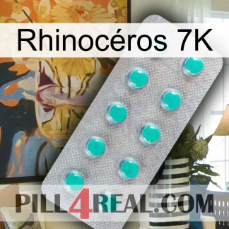 Rhinocéros 7K 28